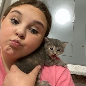 Meet your Posher, Boodles